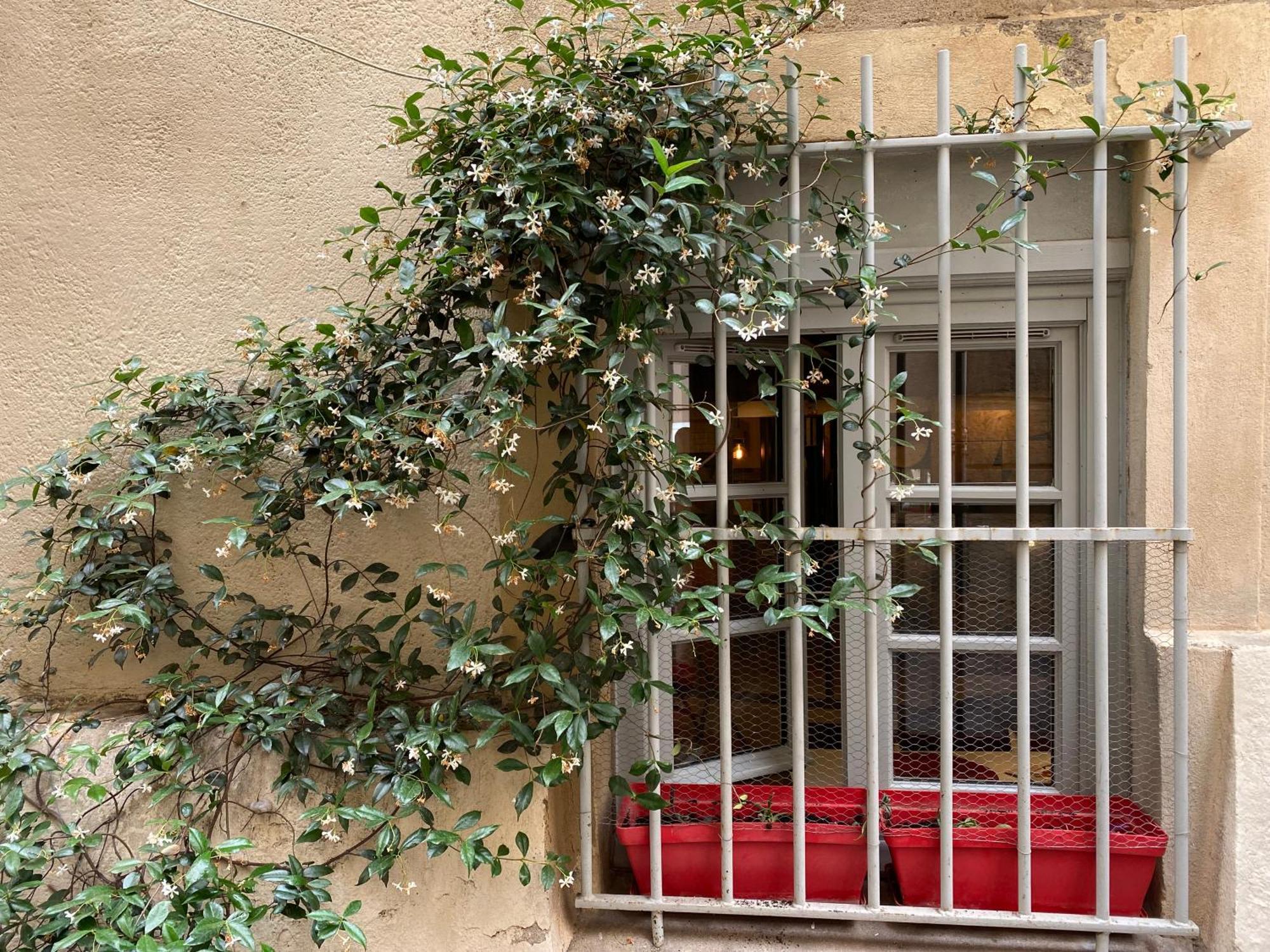 Charmant Studio Ecusson Centre Historique Apartment Montpellier Exterior photo